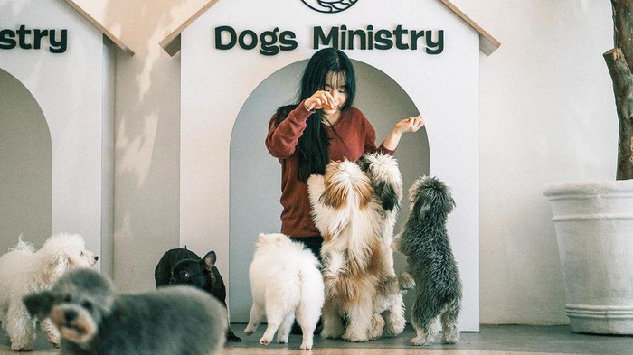 Pecinta Hewan, Kunjungi Pet Cafe Gemas di Jakarta Ini Yuk!