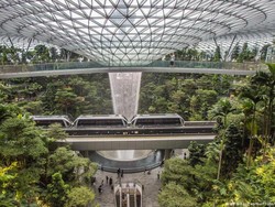 Warga Singapura Tabur Benih di Atap dan Balkon
