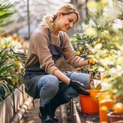 6 Tips Berkebun Sayuran Organik di Rumah Bagi Pemula