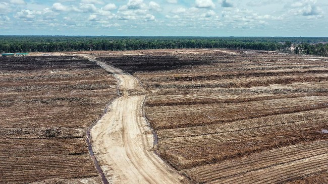 PDI Perjuangan (PDIP) menyebut program food estate Presiden Joko Widodo (Jokowi) gagal, bahkan menjadi kejahatan lingkungan. Berikut daftar food estate RI.