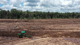 Bappenas 'Update' Master Plan Food Estate Kalteng