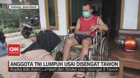 VIDEO: Anggota TNI Lumpuh Usai Disengat Tawon