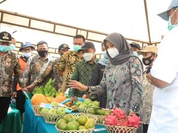 Bupati Ipuk Terbitkan Surat Ajak Dinas dan Instansi di Banyuwangi Beli Buah Lokal