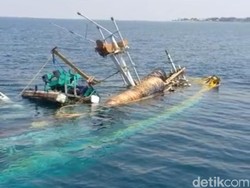 Kapal Pencari Ikan Terbalik Saat Tarik Jaring Penuh Ikan di Probolinggo