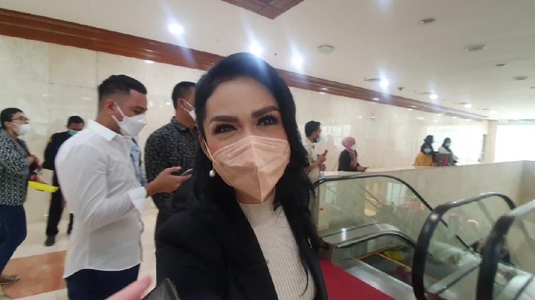 Anggota DPR Fraksi PDIP, Krisdayanti (KD).