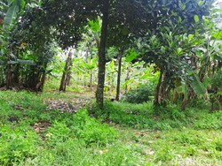 Awal Mula Rumah DP Nol Rupiah hingga Pengadaan Lahan Jadi Perkara di KPK