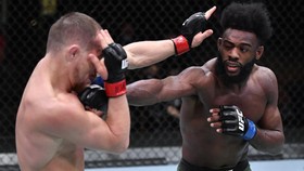Hasil UFC 280: Buat Dillashaw TKO, Sterling Tetap Juara UFC
