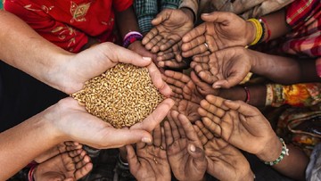 KETERTINGGALAN PENDIDIKAN HINGGA KERAWANAN PANGAN