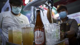 Thailand Bakal Larang Ganja buat Senang-senang