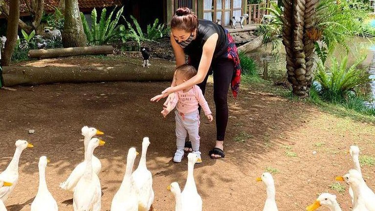 Potret Kebersamaan Aura Kasih dan Anak Setelah Menjadi Single Parent Aura Kasih dengan status barunya sebagai single parent, berikut potret kebersamaan Aura dengan anak nya