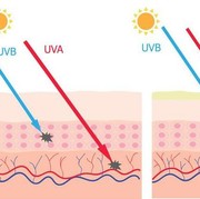 Keefektifan SPF serta PA di Sunscreen Berdasarkan Tingkatannya
