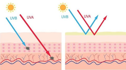 Spf adalah