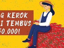 Biang Kerok Cabai Tembus Rp 150.000!