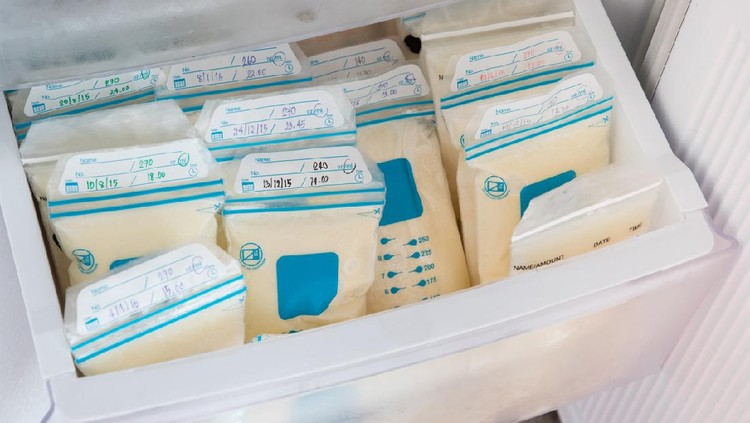 Ilustrasi ASI perah breast milk in plastic bags on refrigerator shelf, frozen mother milk for infant, breastfeeding
