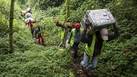 Cadangan Coltan Terbesar Dunia Ada di Kongo
