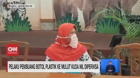 VIDEO: Pelaku Pembuang Botol Plastik ke Kuda Nil Diperiksa
