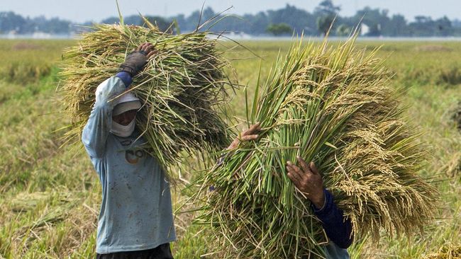 Contoh Implementasi Ekonomi Agrikultur di Indonesia: Studi Kasus Petani Berhasil