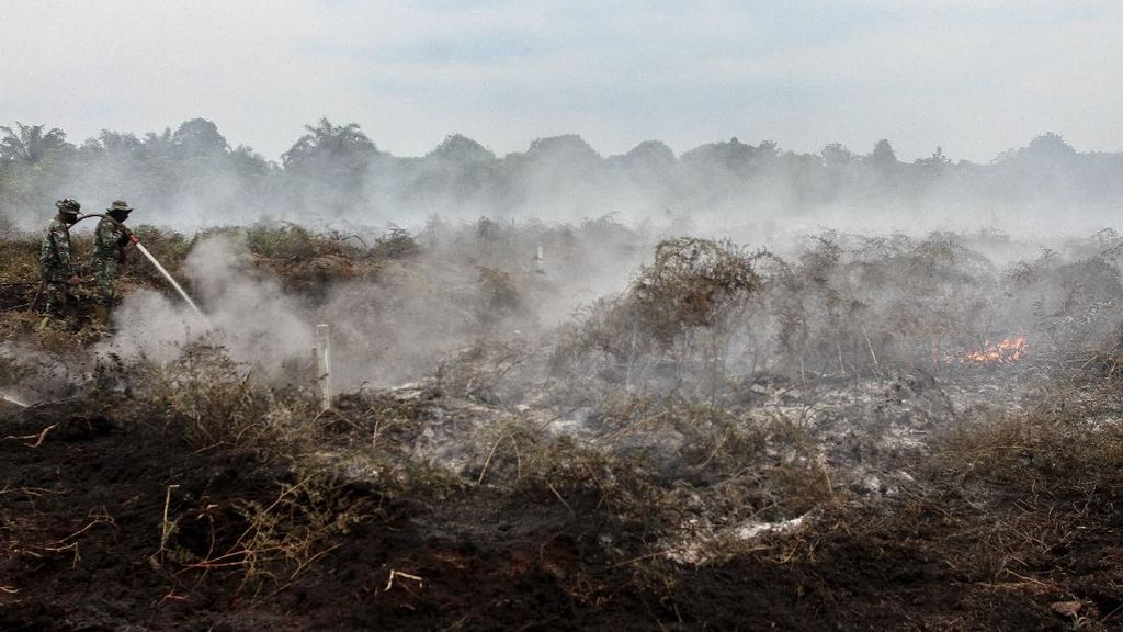 Karhutla Landa Ratusan Hektare di Tiga Daerah Riau