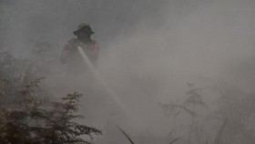 Angka-angka Ngeri Emisi Karbon saat Gambut Kembali Terbakar Tahun ini