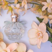 Menyegarkan dan Tahan Lama, Berikut Rekomendasi Wewangian dengan Aroma Khas Alam