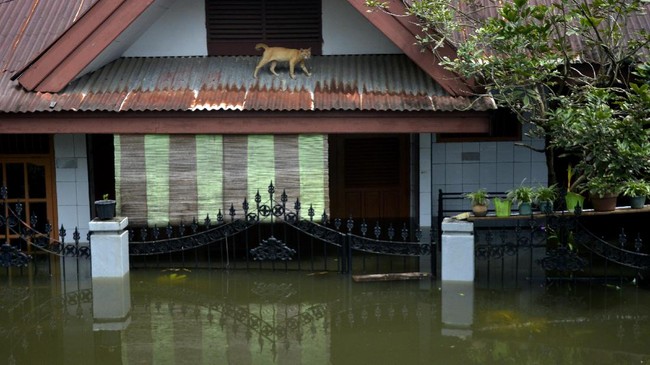 FOTO : Banjir Menggenangi Sejumlah Wilayah di Makassar