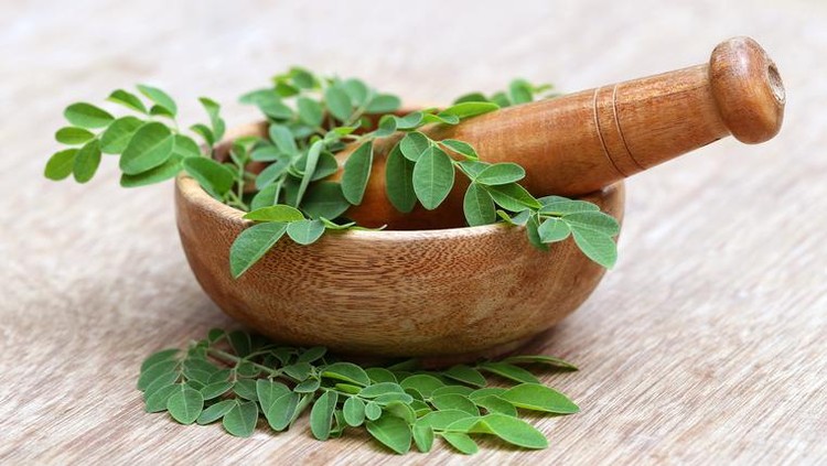 Manfaat Daun Kelor Sebagai Superfood Kaya Khasiat Sehat