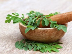 Selain Usir Makhluk Halus, Daun Kelor Punya 3 Manfaat untuk Vitalitas Pria