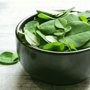 Atasi Jerawat dan Tanda Penuaan Dini dengan Skincare yang Mengandung Moringa
