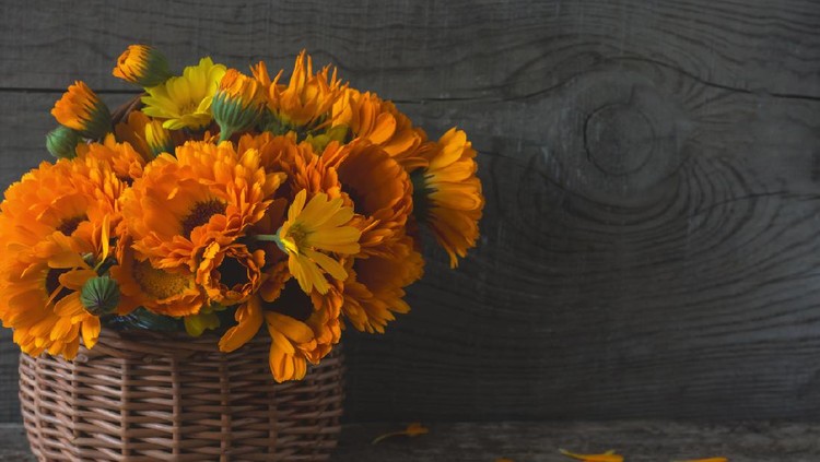 bouquet of bright medicinal herbs of calendula in a basket on an old wooden background with a copy of space.