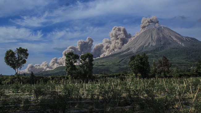 Gunung Sinabung mengalami erupsi dua kali pada Kamis (13/5) dengan maksimal jarak luncur abu vulkanik setinggi 1.000 meter ke arah timur.