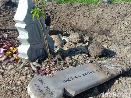 Heboh Makam Dibongkar, Apakah Jenazah Pasien COVID-19 Bisa Tularkan Virus?
