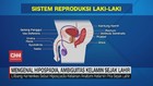 VIDEO: Mengenal Hipospadia, Ambiguitas Kelamin Sejak Lahir