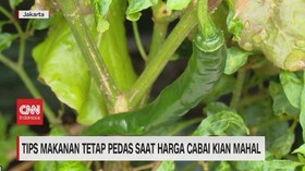 VIDEO: Tips Makanan Tetap Pedas Saat Harga Cabai Kian Mahal