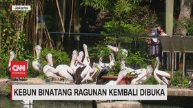 VIDEO: Kebun Binatang Ragunan Kembali DIbuka