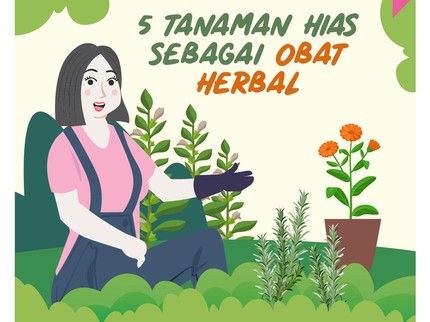 5 Tanaman Hias Sebagai Obat Herbal
