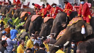 FOTO: Doa dan Penghormatan di Hari Gajah Nasional Thailand