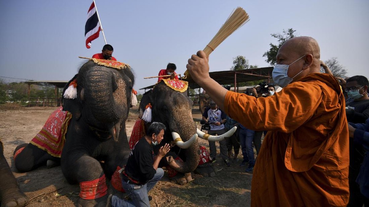 FOTO: Doa dan Penghormatan di Hari Gajah Nasional Thailand