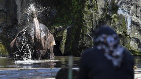 FOTO: Ragunan Kembali Dibuka, Warga Luar Jakarta Bisa Datang