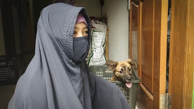 Hesti Sutrisno, seorang pecinta di Kabupaten Bogor, Jawa Barat yang menampung 70 anjing di shelter miliknya yang kembali mendapat penolakan warga.