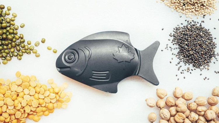 Iron Fish