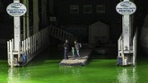FOTO: Sungai di Chicago Jadi Hijau Jelang Hari St. Patrick Sungai Chicago berwarna hijau cerah setelah Walikota Lori Lightfoot mengurungkan pembatalan memberi warna jalur air tersebut akibat pandemi virus corona.