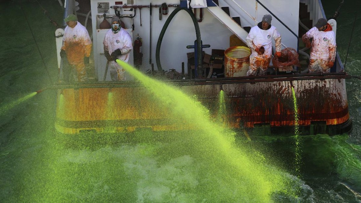 FOTO: Sungai di Chicago Jadi Hijau Jelang Hari St. Patrick