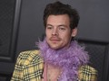 Harry Styles Bakal Jadi Polisi di Film My Policeman