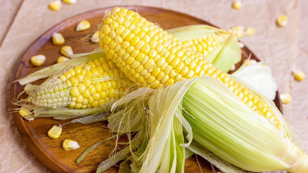 Pemerintah Gelontorkan Rp40 M untuk Riset Jagung hingga Bawang Putih