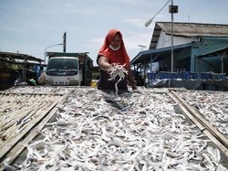 Olahan Ikan Kering Jadi Ladang Bisnis Perempuan Pesisir Demak