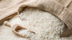 DPR Dorong Sinergi Bulog-Kementan Jaga Stok Beras RI