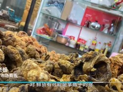 Trik Turunkan BB 30 Detik hingga Plasenta Goreng Jadi Santapan di China