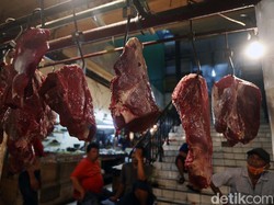 Jalan Panjang RI Swasembada Daging Sapi