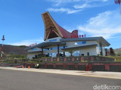 Babi Hutan Berkeliaran di Landasan Pacu Bandara Toraja, Dibunuh Petugas