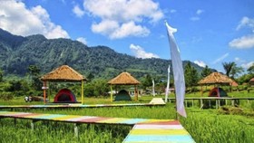 Kabupaten Langkat Promosikan Wisata Tidur di Sawah